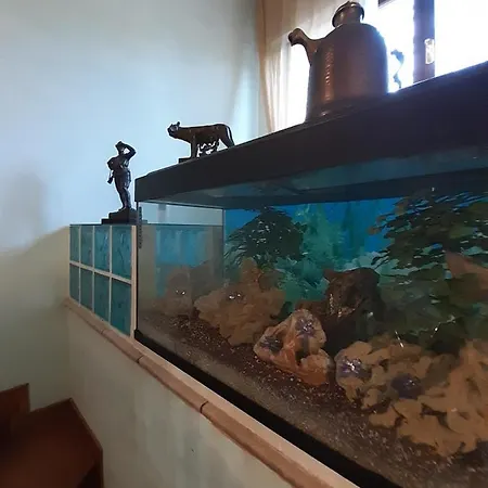 Bed & Breakfast Giovanni