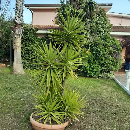 Giovanni Bed & Breakfast Casal Palocco